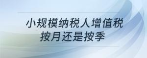 小规模纳税人增值税按月还是按季