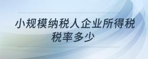 小规模纳税人企业所得税税率多少
