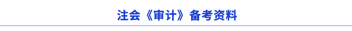 注会审计备考资料