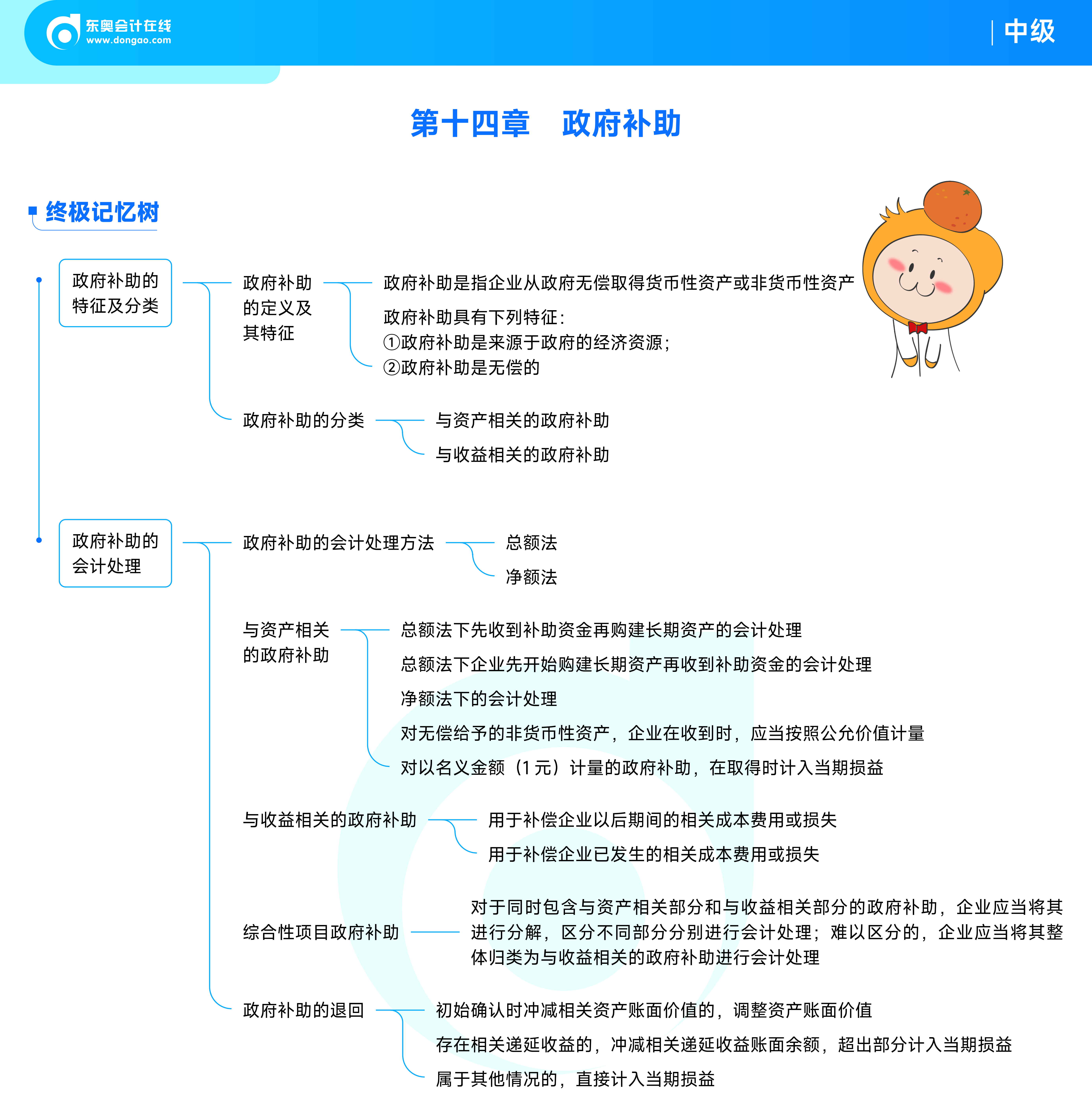 《中级会计实务》思维导图14政府补助