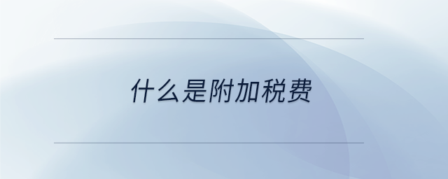 什么是附加税费