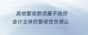 其他暂收款项属于政府会计主体的暂收性负债么
