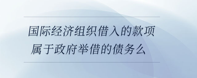 国际经济组织借入的款项属于政府举借的债务么