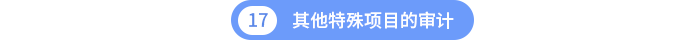 其他特殊项目的审计