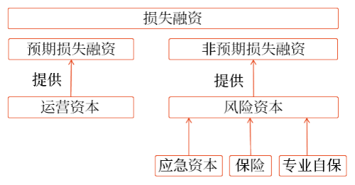 损失融资 损失融资