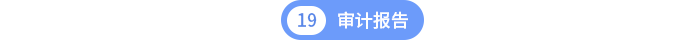 第十九章审计报告