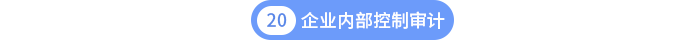 第二十章企业内部控制审计