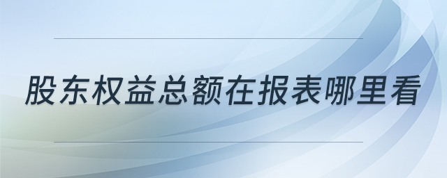 股东权益总额在报表哪里看 股东权益总额在报表哪里看