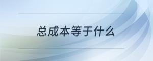 总成本等于什么