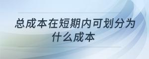 总成本在短期内可划分为什么成本