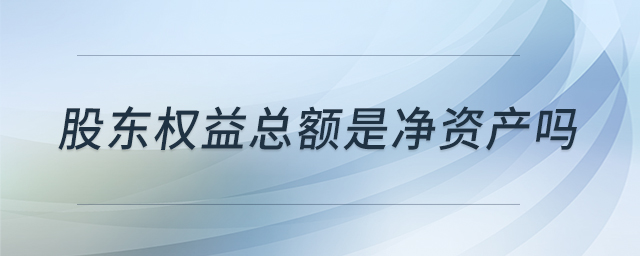 股东权益总额是净资产吗