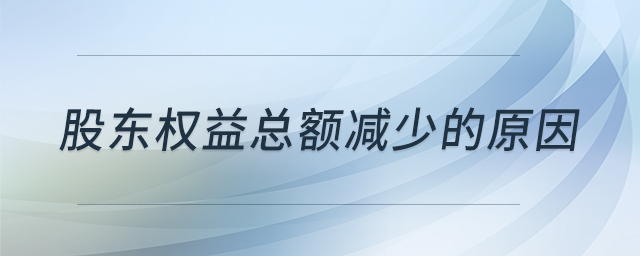 股东权益总额减少的原因 股东权益总额减少的原因