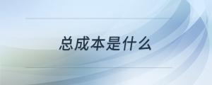 总成本是什么