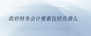 政府财务会计要素包括负债么