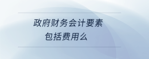政府财务会计要素包括费用么