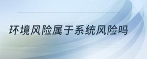 环境风险属于系统风险吗