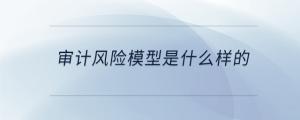 审计风险模型是什么样的
