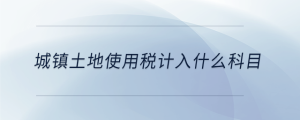 城镇土地使用税计入什么科目
