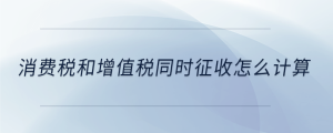 消费税和增值税同时征收怎么计算