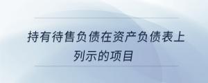 持有待售负债在资产负债表上列示的项目