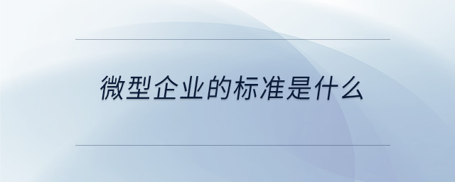 微型企业的标准是什么