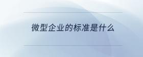 微型企业的标准是什么