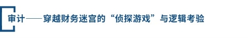审计——穿越财务迷宫的“侦探游戏”与逻辑考验
