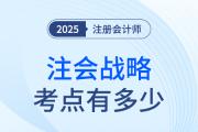 注册会计师战略考点有多少？
