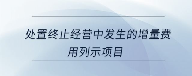 处置终止经营中发生的增量费用列示项目