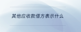其他应收款借方表示什么