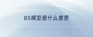 bs模型是什么意思