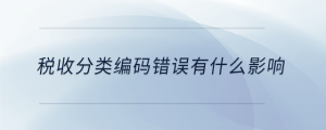 税收分类编码错误有什么影响