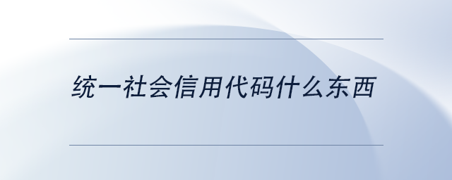 中级会计统一社会信用代码什么东西 中级会计统一社会信用代码什么东西