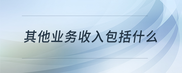 其他业务收入包括什么