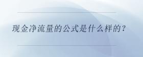 现金净流量的公式是什么样的？