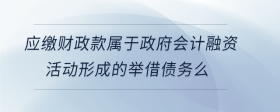 应缴财政款属于政府会计融资活动形成的举借债务么