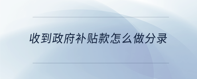 收到政府补贴款怎么做分录