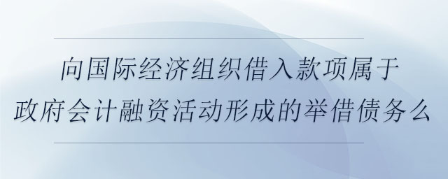 向国际经济组织借入款项属于政府会计融资活动形成的举借债务么