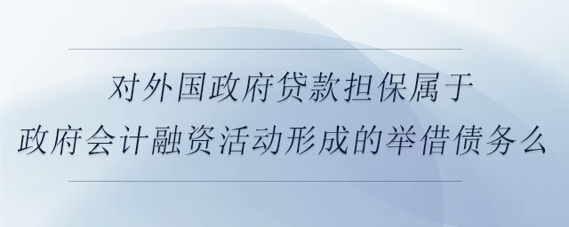 对外国政府贷款担保属于政府会计融资活动形成的举借债务么 对外国政府贷款担保属于政府会计融资活动形成的举借债务么