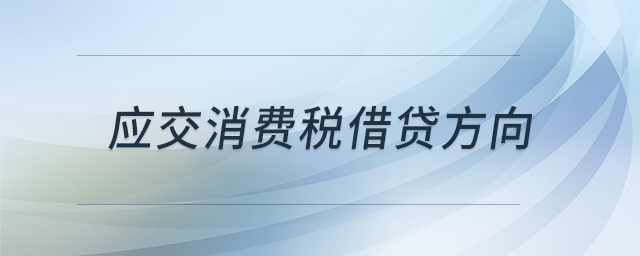 应交消费税借贷方向