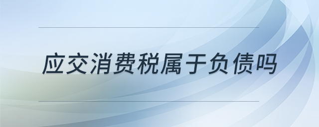 应交消费税属于负债吗