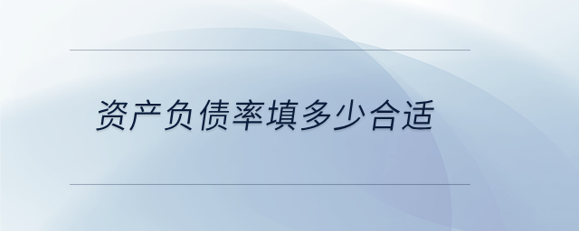 资产负债率填多少合适